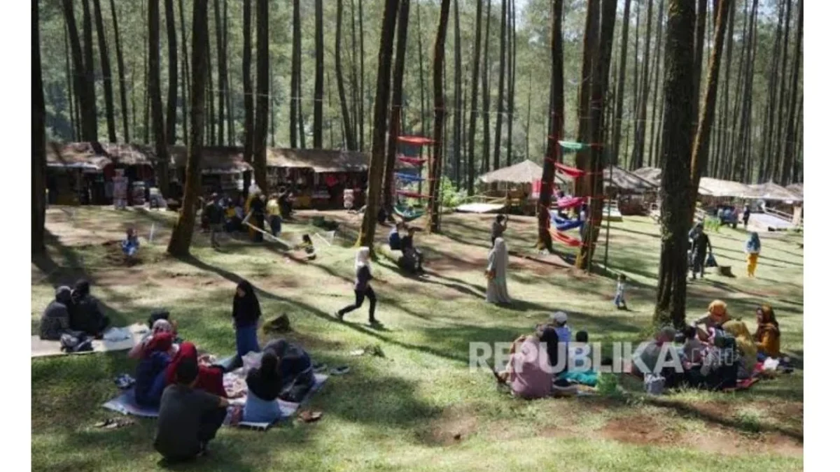 5 Destinasi Wisata Hutan Pinus di Kuningan ; Wajib Kamu Kunjungi!