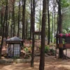 Pesona Hutan Pinus Majalengka: 5 Destinasi Sejuk untuk Liburan Seru