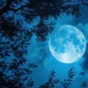 Malam Ini Akan Terjadinya Fenomena Blue Moon Dalam Sains Blue Moon itu sebenarnya apa ?