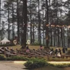 Orchid Forest Cikole di Lembang, Bandung, dengan suasana hutan pinus yang teduh