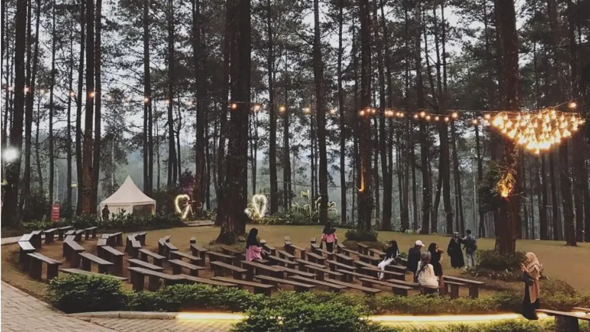 Orchid Forest Cikole di Lembang, Bandung, dengan suasana hutan pinus yang teduh