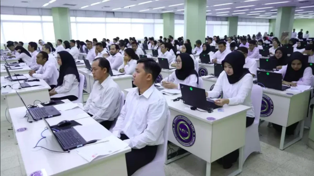 pengumuman administrasi cpns 2024