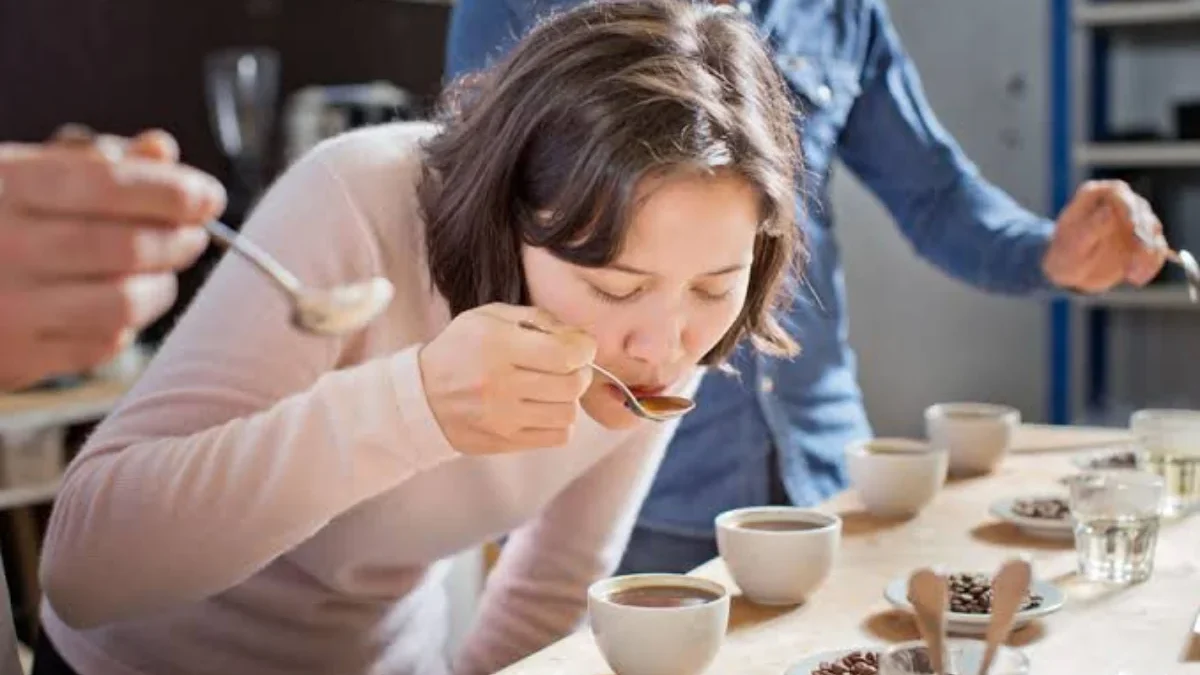 Langkah-Langkah Utama dalam Proses Cupping Coffee untuk Menilai Kualitas Kopi.