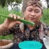 Makan Lalapan Lidah Buaya: Manfaat Kesehatan dan Efek Samping