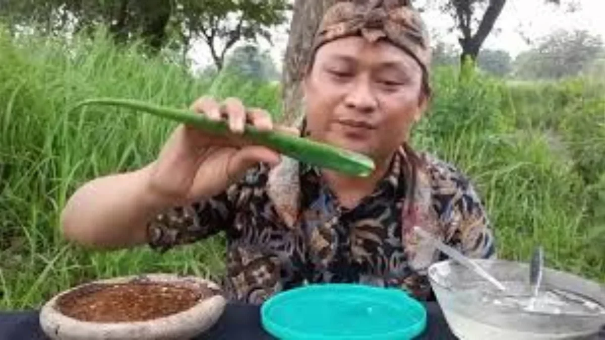 Makan Lalapan Lidah Buaya: Manfaat Kesehatan dan Efek Samping