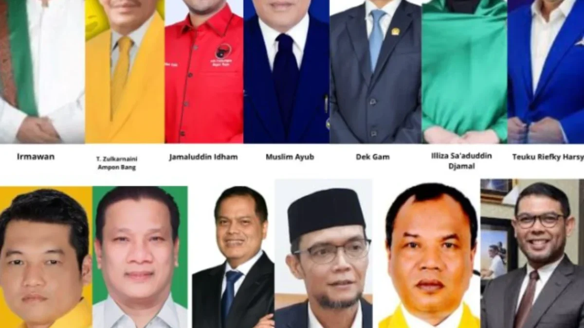 Anggota DPR RI Asal Aceh periode 2024-2029