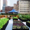 Urban farming