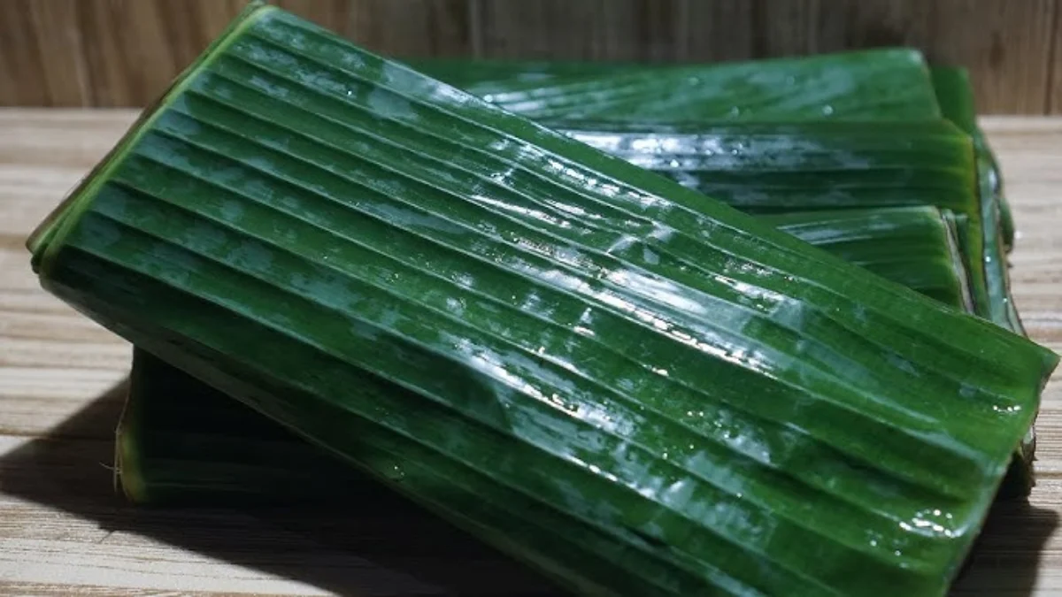 Cara Menyimpan Daun Pisang Berbulan bulan Agar Tetap Awet