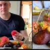 Buah Rambutan Asli Indonesia Dibanderol Rp 500.000 di Amerika Serikat