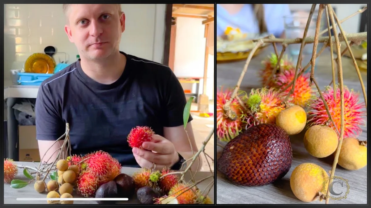 Buah Rambutan Asli Indonesia Dibanderol Rp 500.000 di Amerika Serikat