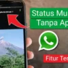 Fitur Baru Whatsapp Bisa Sisipkan Musik Di Status Storynya Mirip Dengan Instagram