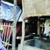 stok sapi kurban indramayu