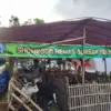 Hewan kurban hari raya idul adha