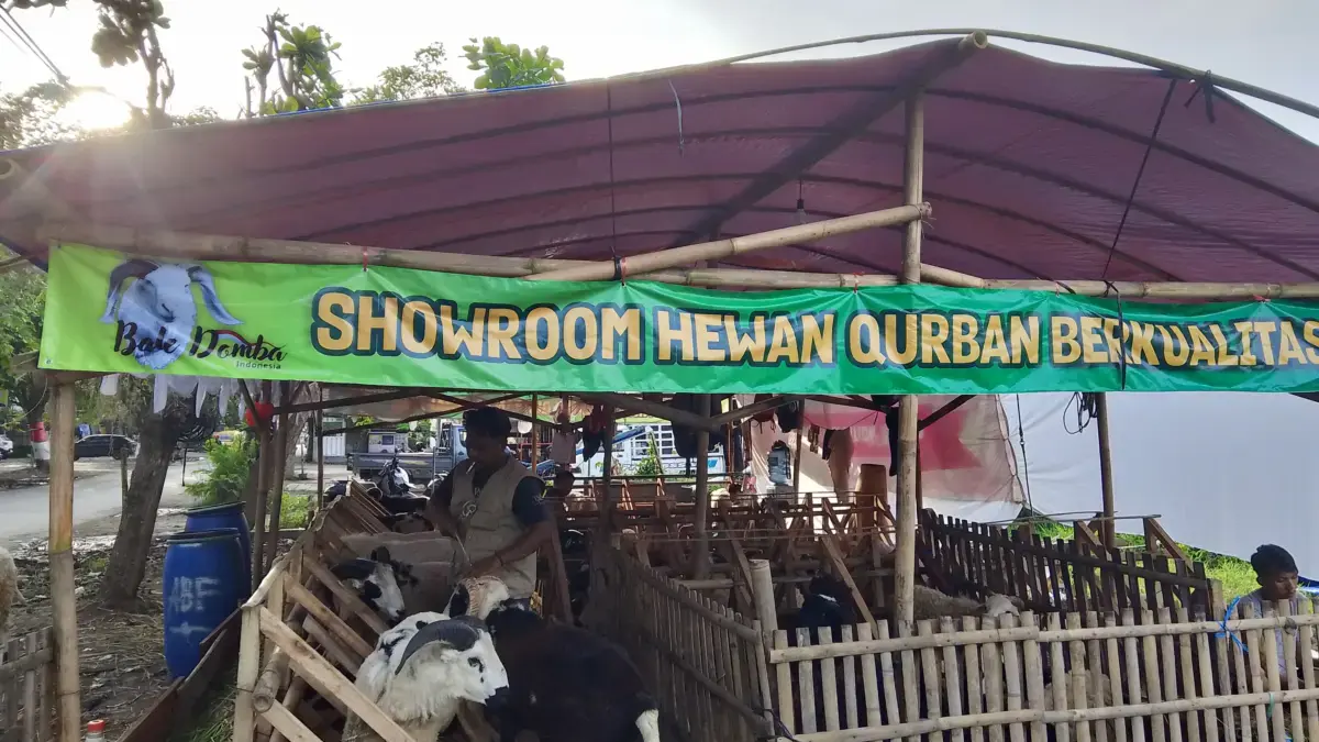 Hewan kurban hari raya idul adha