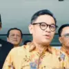 Ace Hasan Syadzily