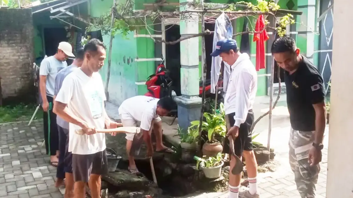 Penyebaran penyakit demam berdarah