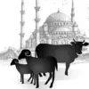 Hewan Kurban