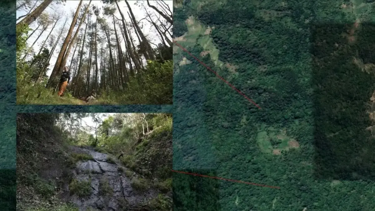 Macan Tutul Bukit Bahohor, Sering Teror Warga Hantara Kuningan, Cari Mangsa Masuk Permukiman macan tutul bukit bahohor kuningan