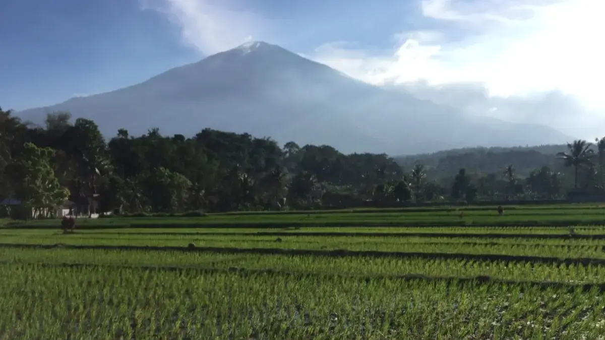 perdagangan karbon kabupaten trenggalek