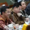 bahas naturalisasi