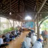 budi daya ayam petelur