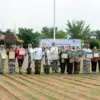 pemenang lomba