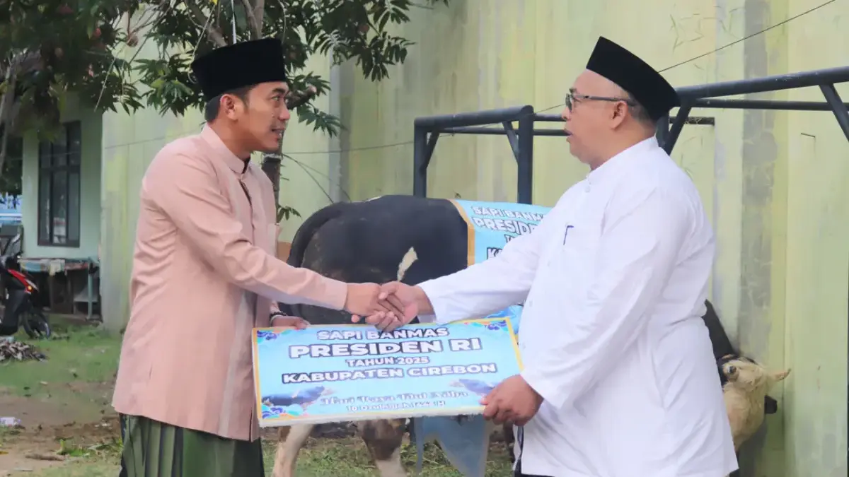 Hewan kurban sapi dari Presiden Prabowo
