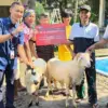 PT Daya Adicipta Motora