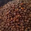 kopi majalengka