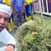 kdm bersih bersih kawasan trusmi
