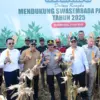 Hutan Perum Perhutani