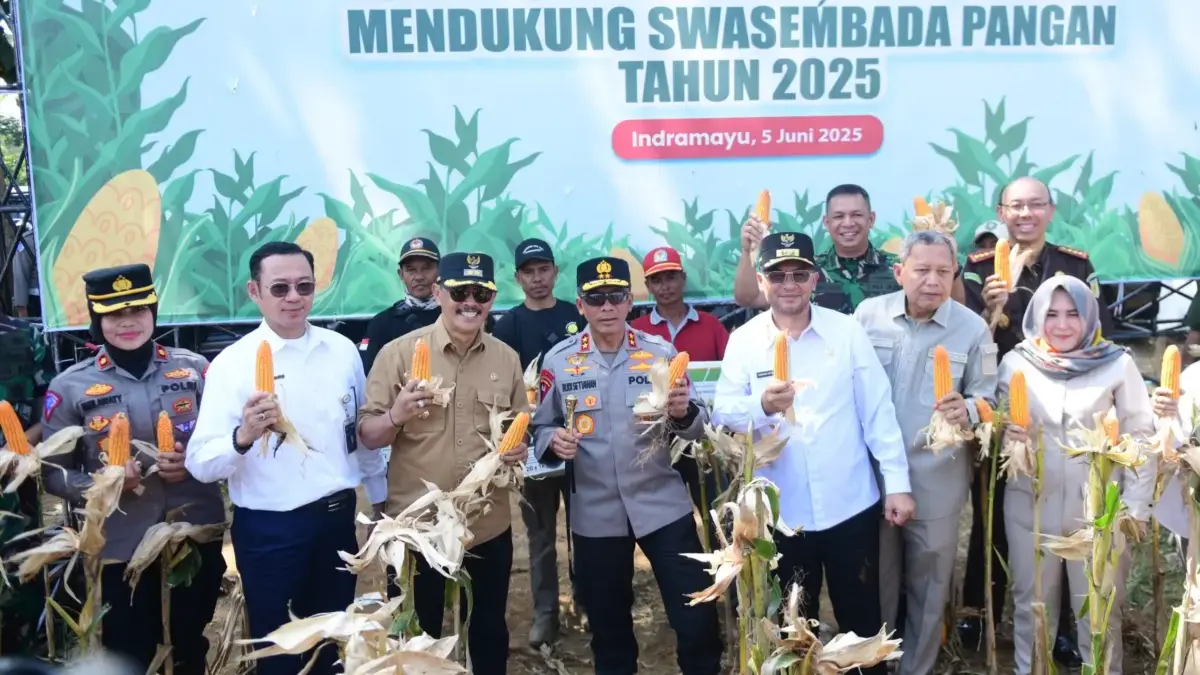 Hutan Perum Perhutani