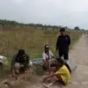 Poktan Carik