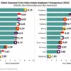 pelaku kejahatan global