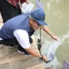 Gerakan Memasyarakatkan Makan Ikan