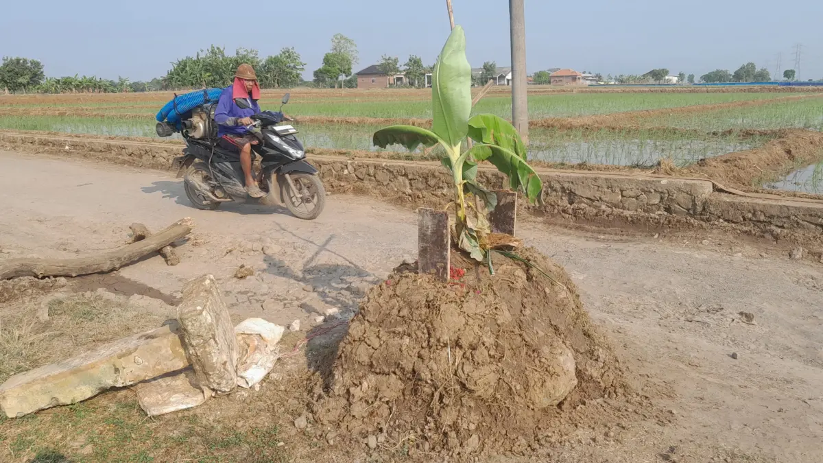 warga cirebon bikin kuburan protes jalan rusak