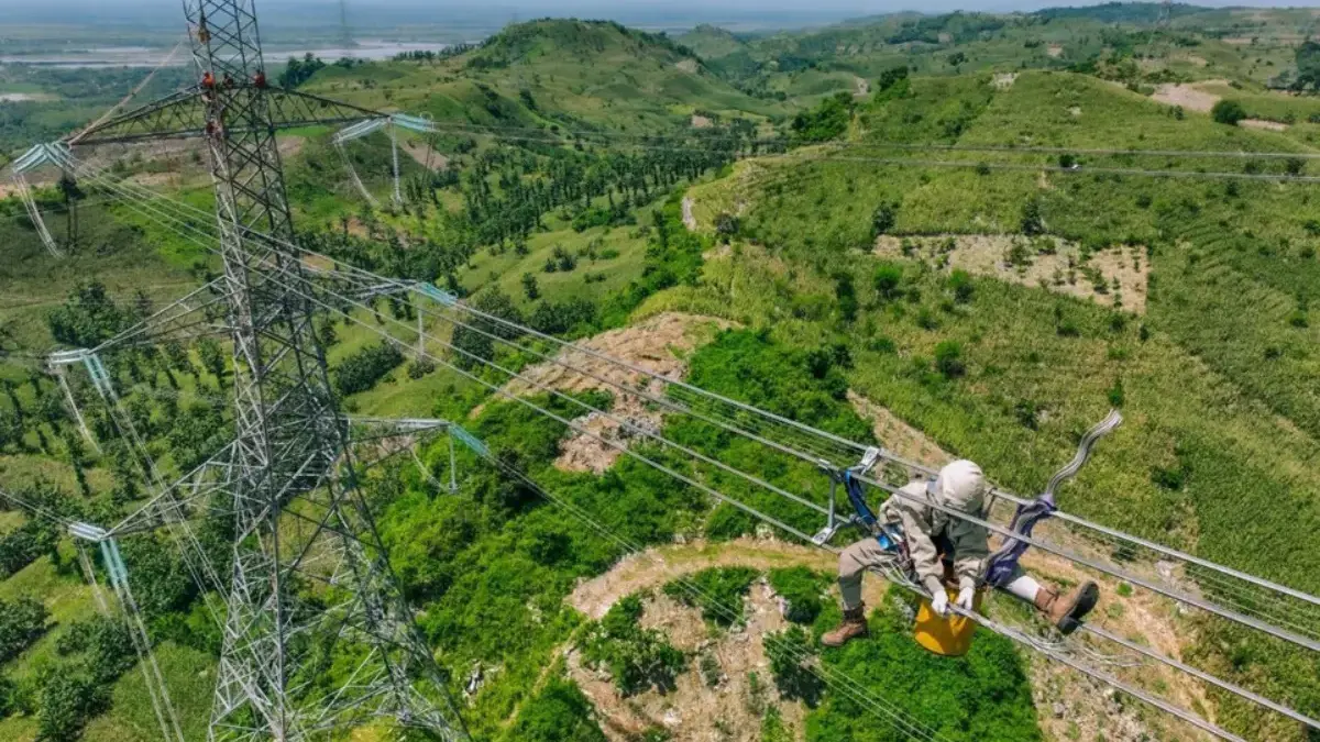 Petugas PLN melakukan pemeliharaan jaringan transmisi