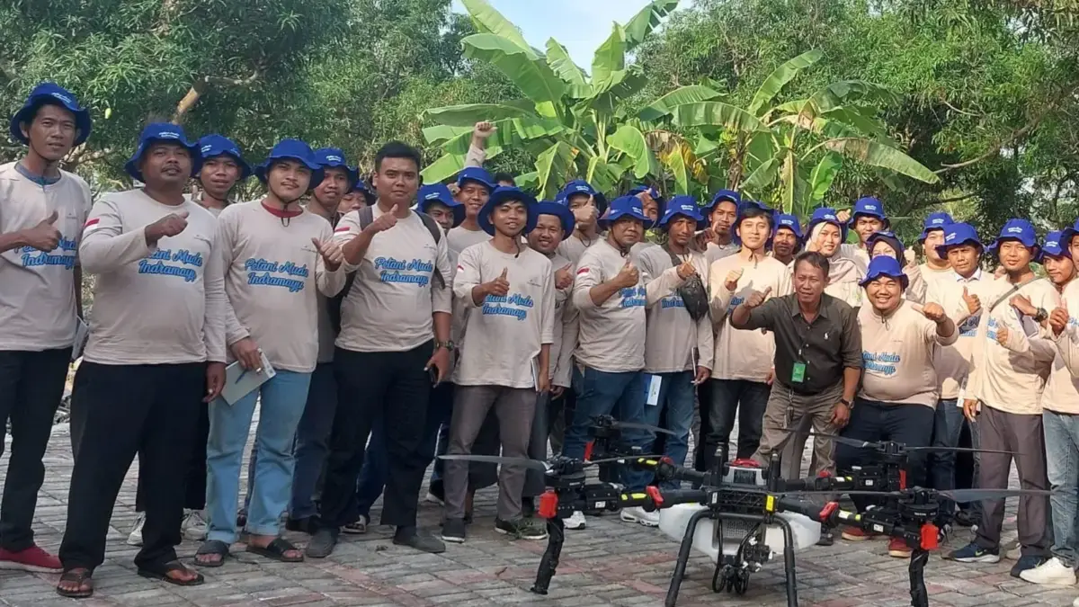 drone pertanian