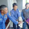 Disdamkarmat Kabupaten Cirebon