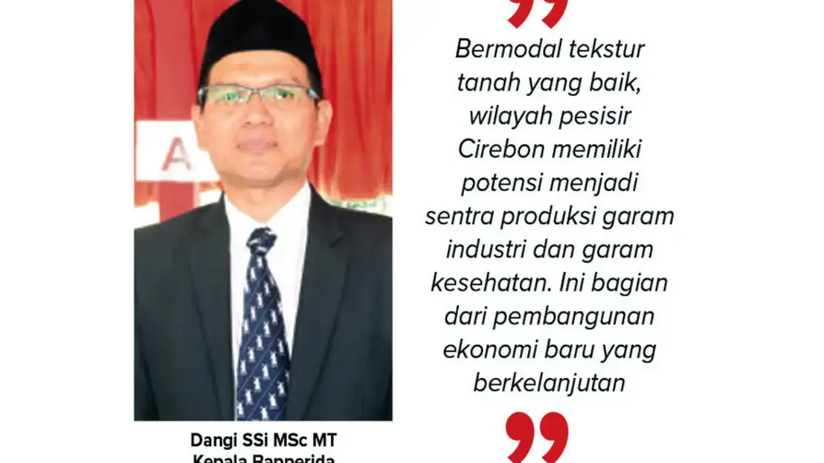 Dangi SSi MSc MT, Kepala Bapperida