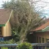 Phohon Tumbang