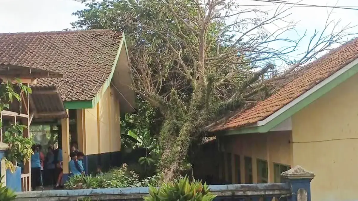 Phohon Tumbang