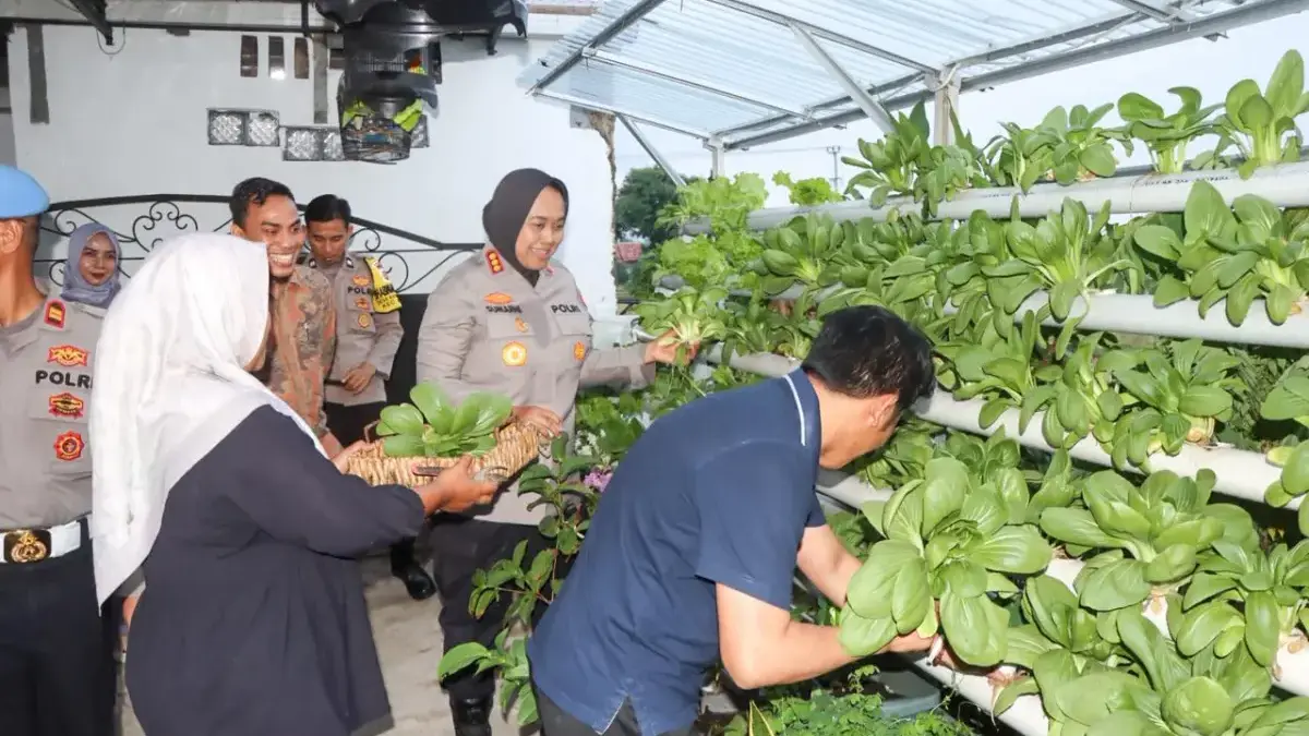 kebun mini
