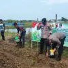 swasembada pangan