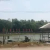 Ekowisata Mangrove Karangsong