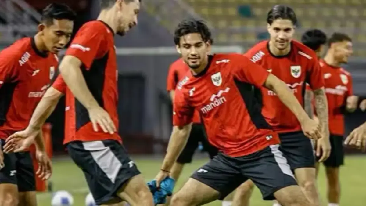 timnas indonesia senior