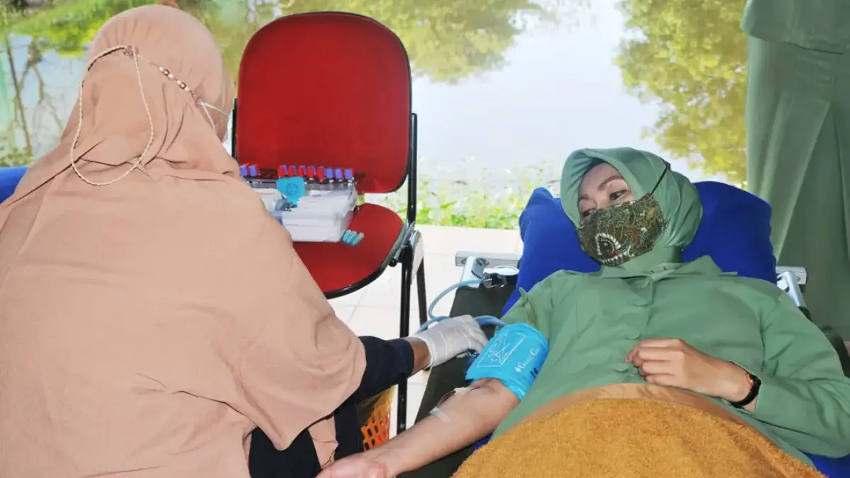 Donor Darah