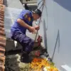 Ist 