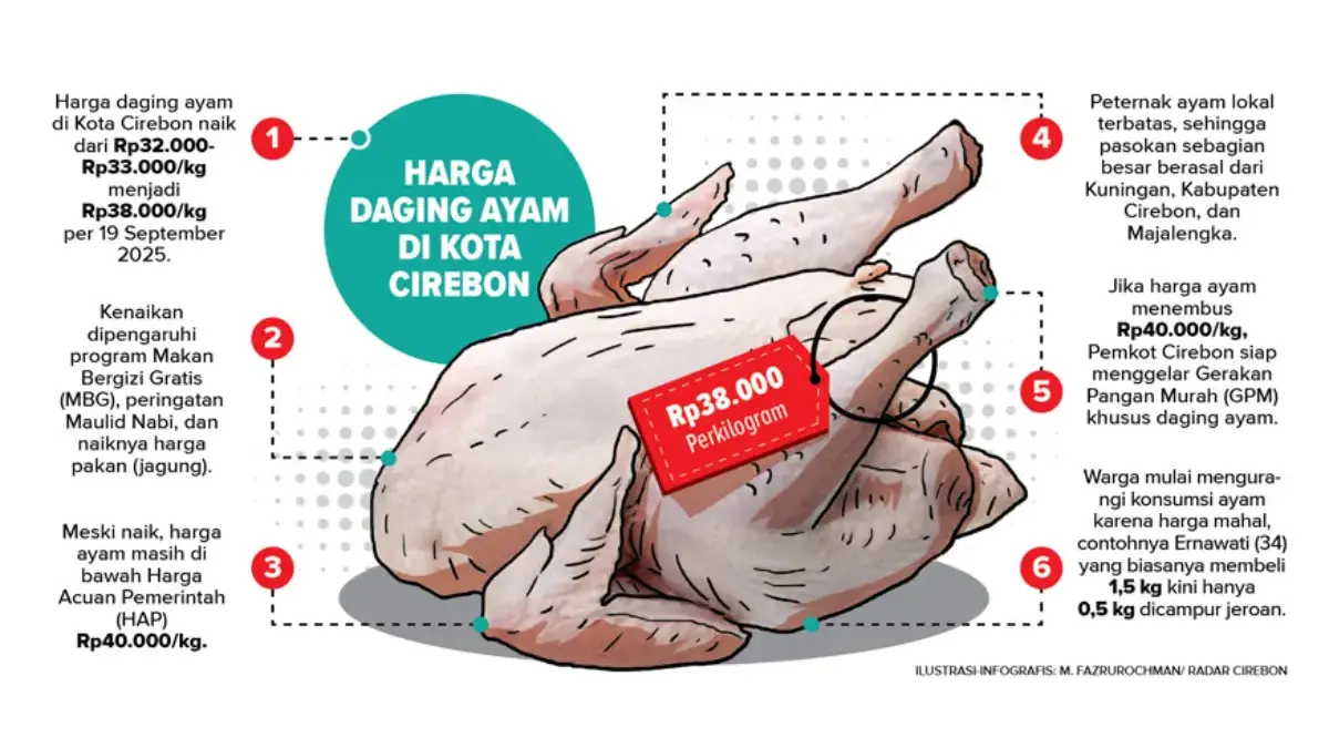 Harga Daging Ayam Di Kota Cirebon