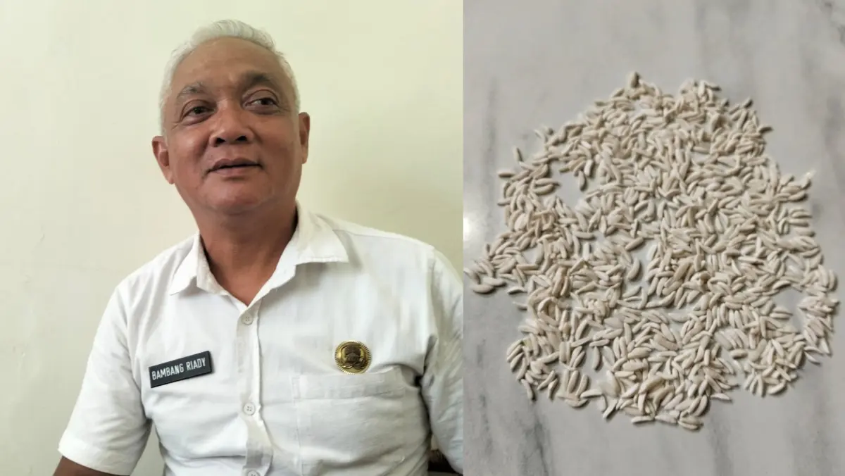 Dugaan beras oplosan di Cirebon